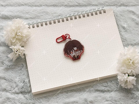 epoxy keychains — hsr